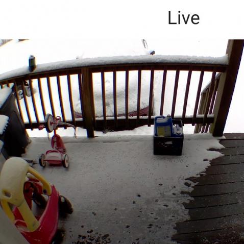 20210218-111054 Blink