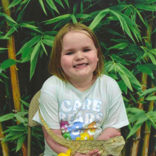 Summer-Bearded-Dragon-2024-1200dpi